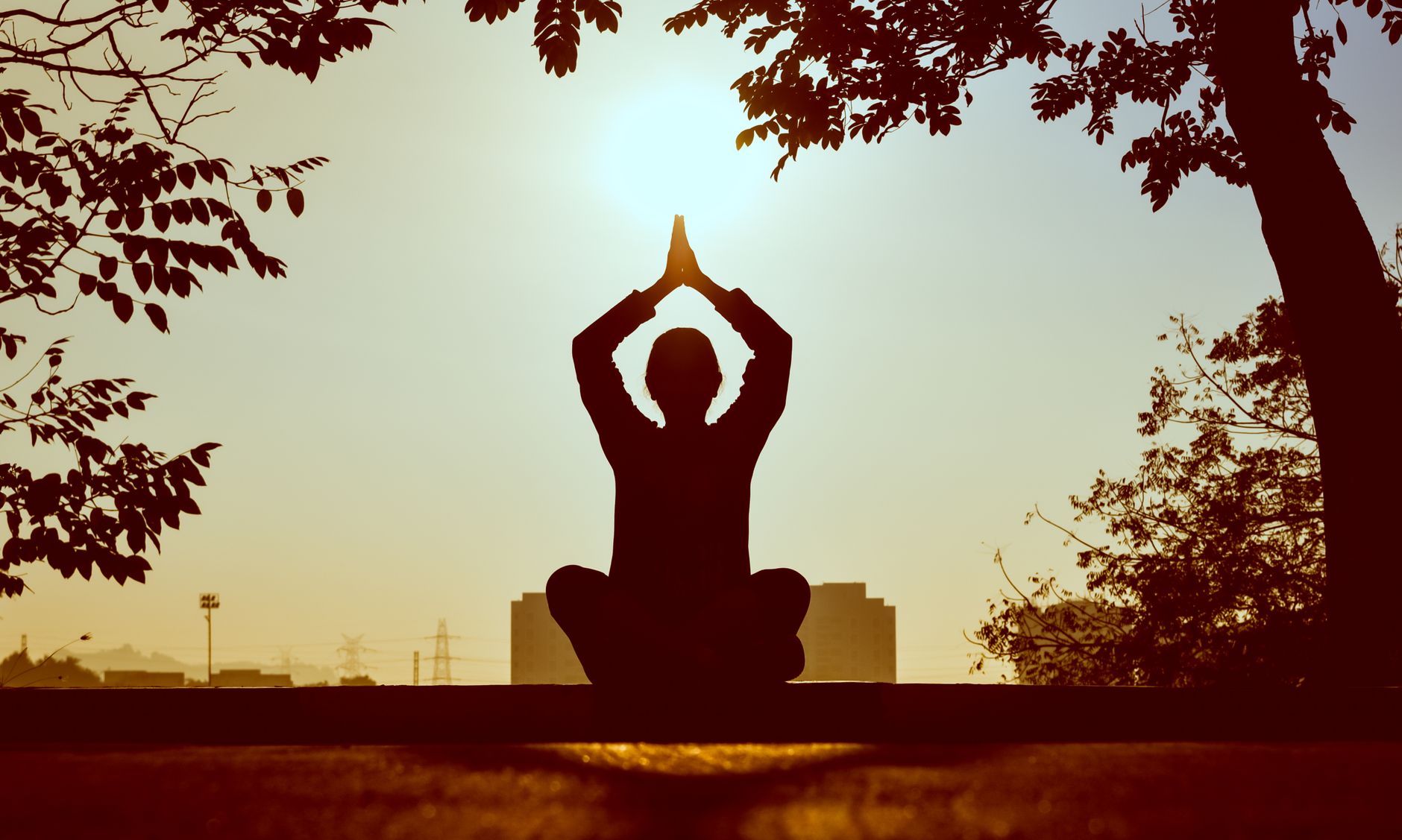 Diferença de Hatha yoga e Bhakti yoga
